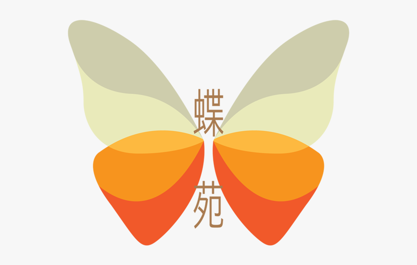 Net-winged Insects, HD Png Download