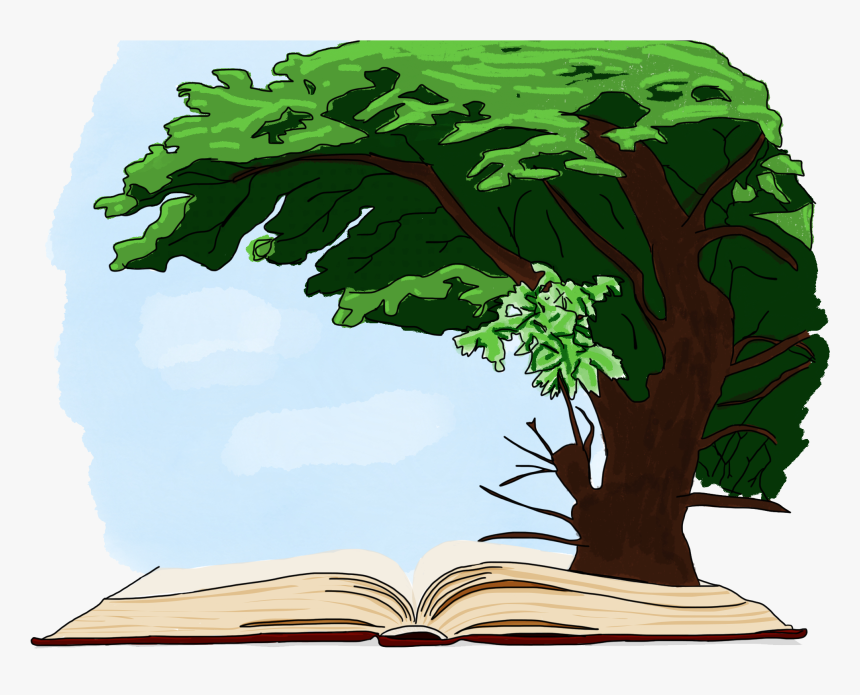 Oak, HD Png Download
