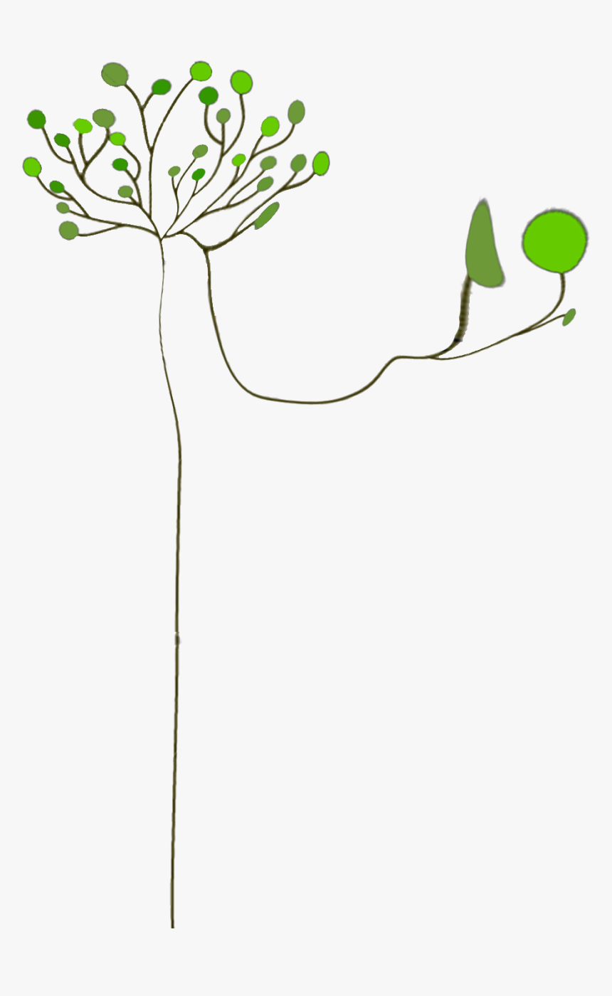 Clip Art, HD Png Download