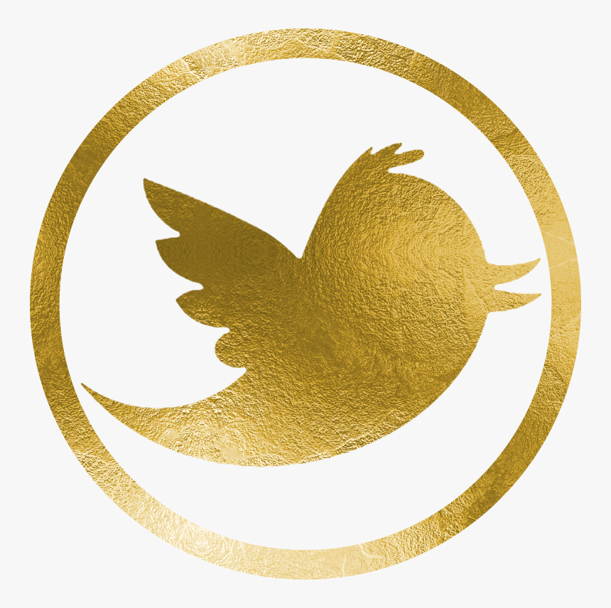Kelly Doss Events Twitterpng - Twitter Logo Png, Transparent Png