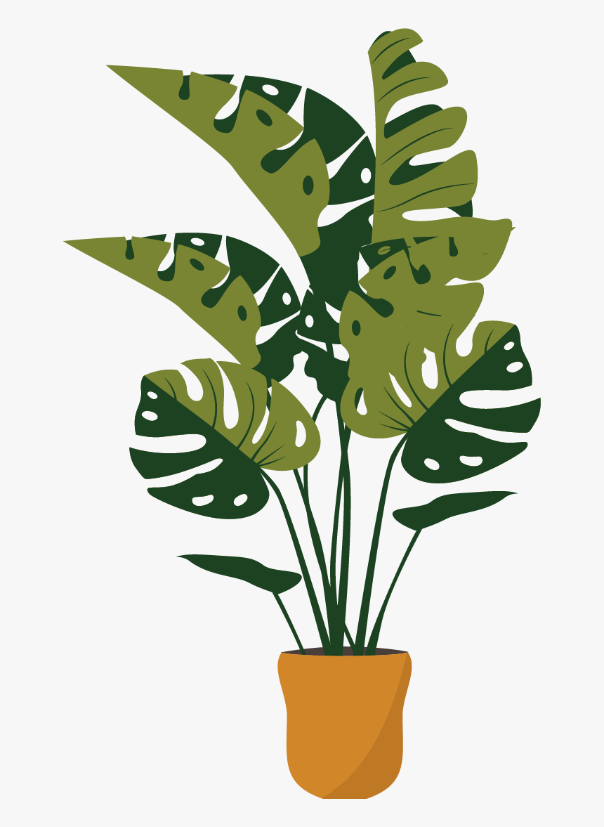 Plant Png, Transparent Png