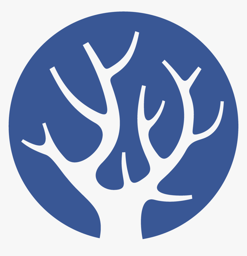 Tree Eco Logo, HD Png Download