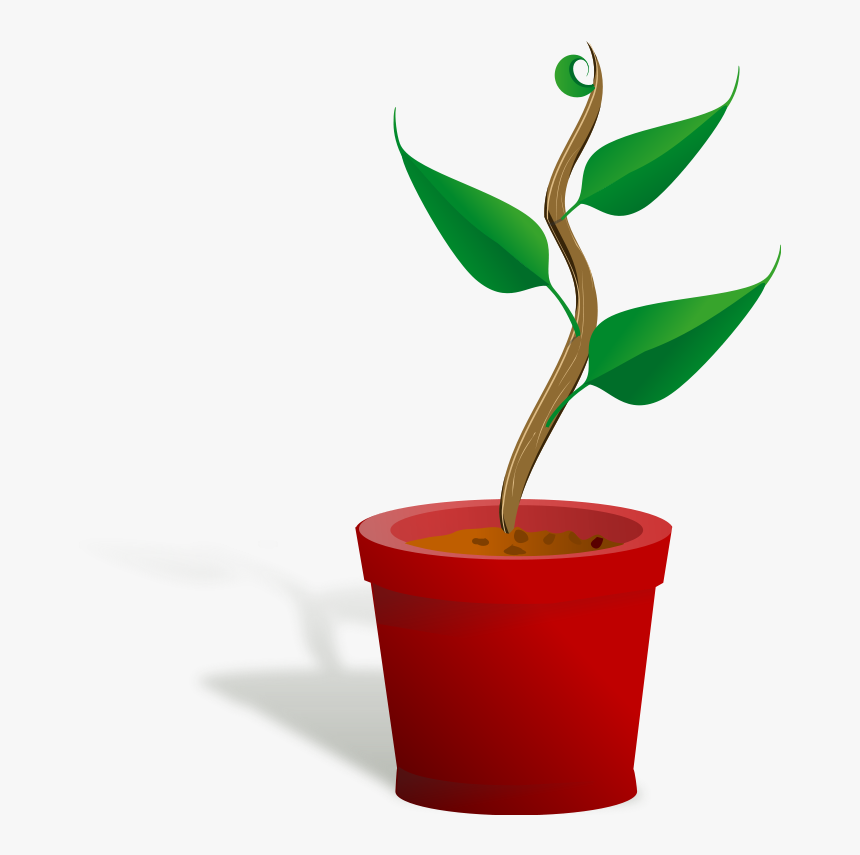 Getting To Know Plants, HD Png Download