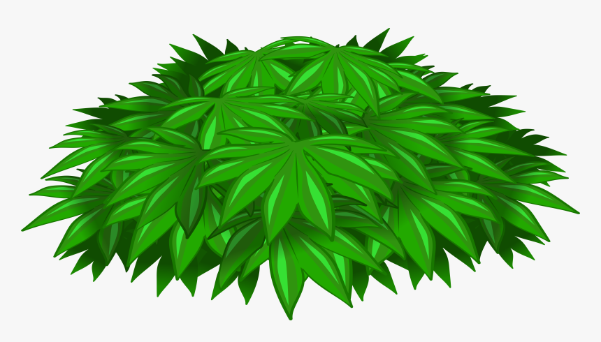 Collection Of Plant - Illustration, HD Png Download