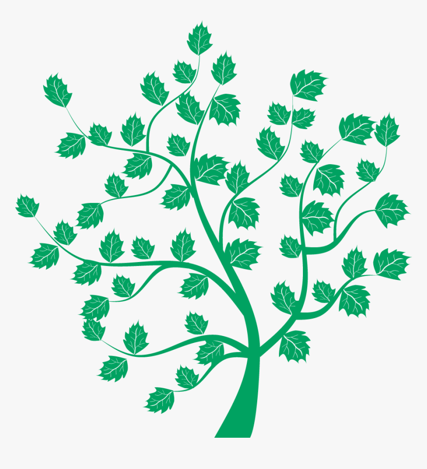 Naklejki Na Ścianę Drzewo, HD Png Download