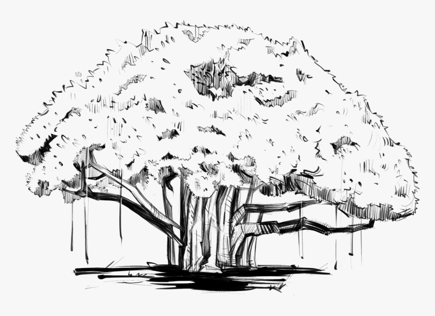 Tree, HD Png Download