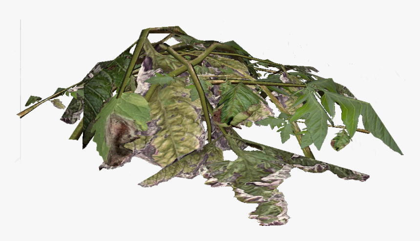 Plantmaterial, HD Png Download