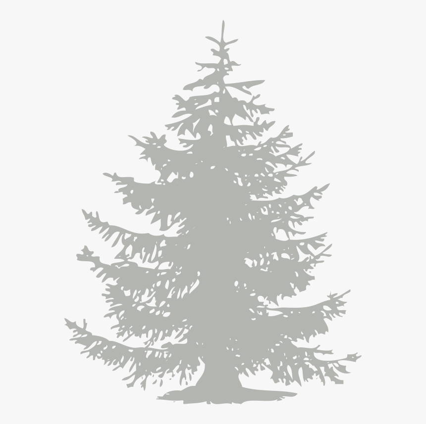 Chinook Fest - Pine Tree Flat Design, HD Png Download