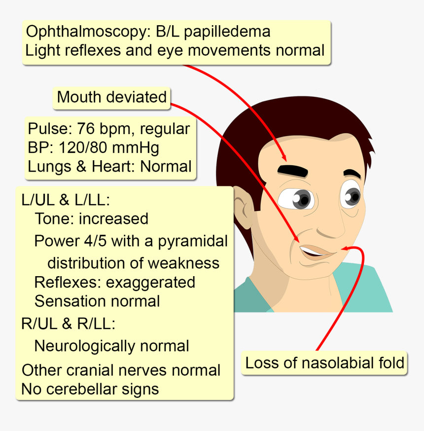 Cartoon , Png Download - Cartoon, Transparent Png