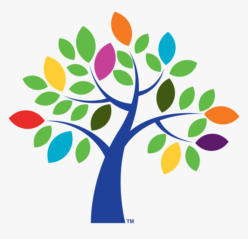 Pkf Tree - Pkf Values, HD Png Download