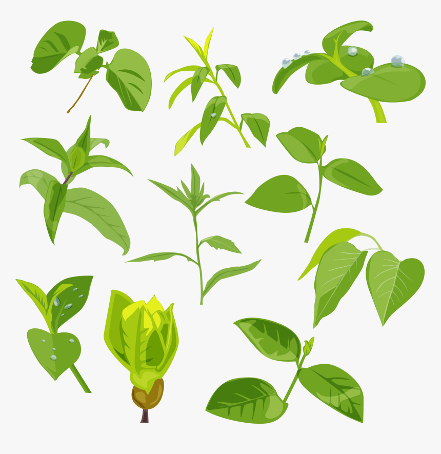Planting Png, Transparent Png
