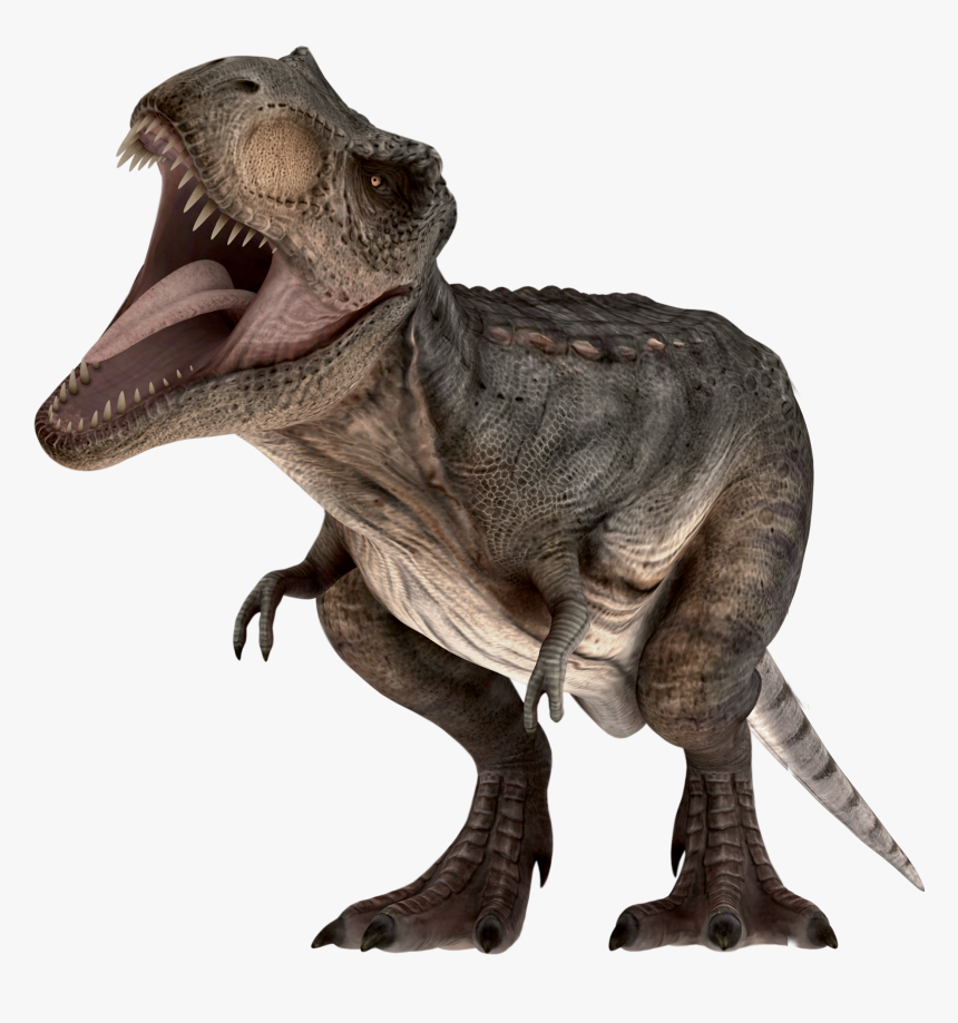 Twitter Png Transparent Images Png All,twitter Logo, Png Download