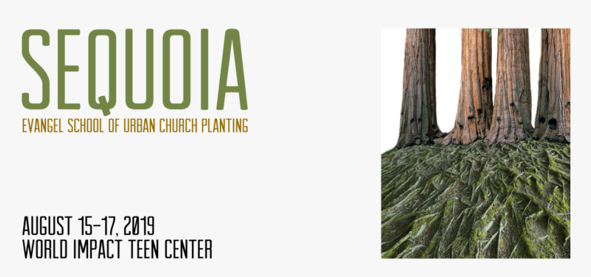 Sequoia Evangel Cps Web Header, HD Png Download