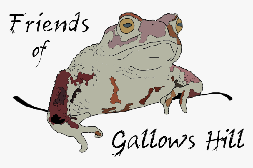 Bufo, HD Png Download