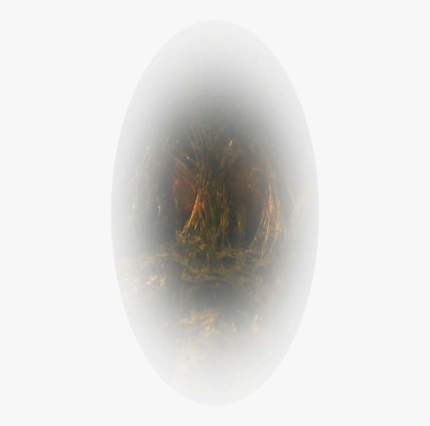 Circle, HD Png Download