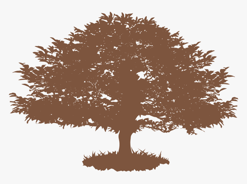 Illustration, HD Png Download