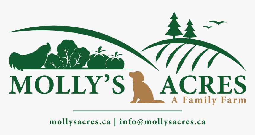 Molly S Acres - Illustration, HD Png Download
