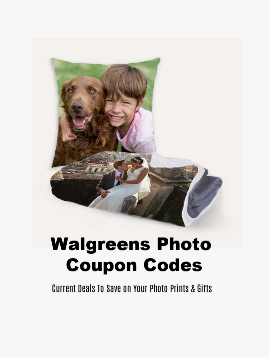 Companion Dog, HD Png Download