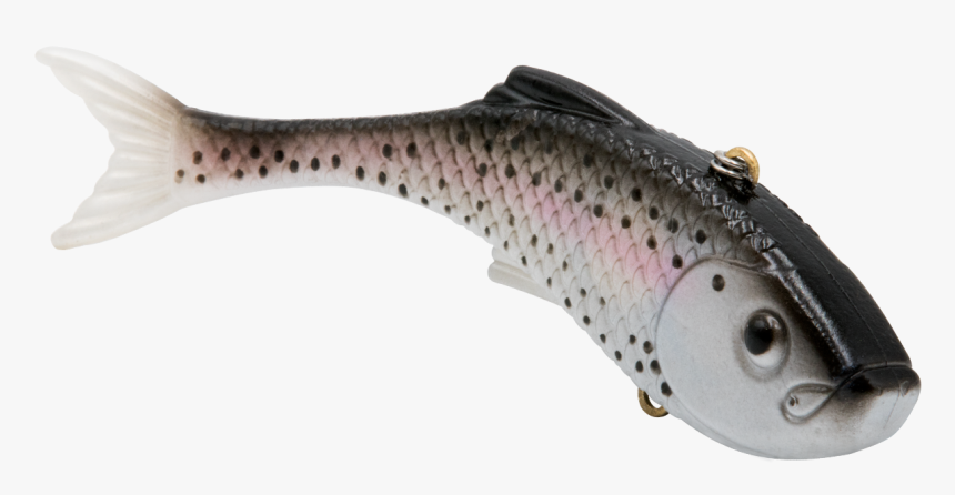 Trout, HD Png Download