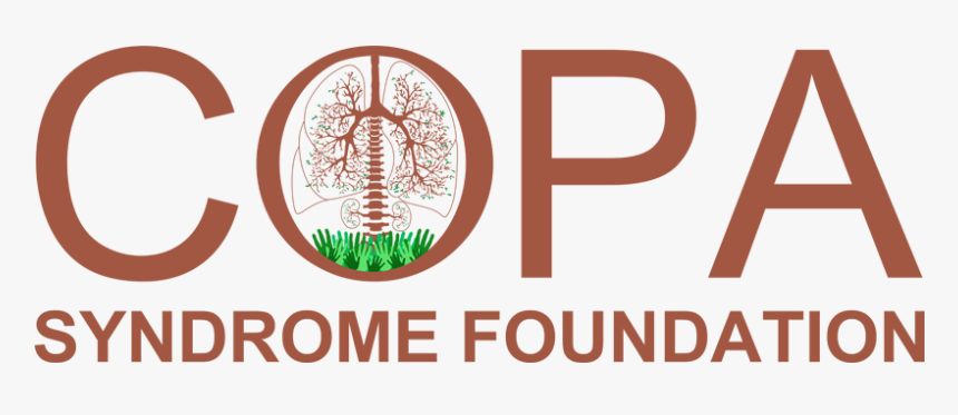 Graphics, HD Png Download