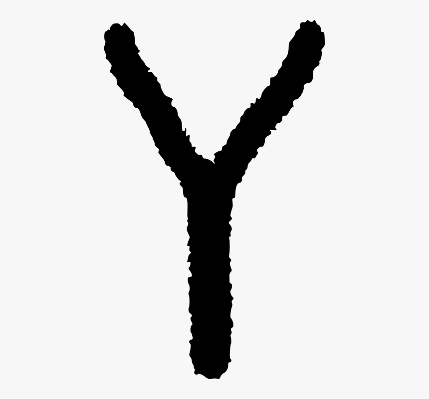 Slingshot, Fork, Iberia, Petroglyph, Spain, Ancient - Thong, HD Png Download