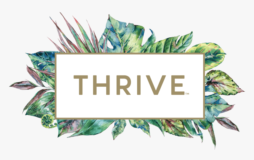 Thrive - Thrive Wine Logo Transparent, HD Png Download