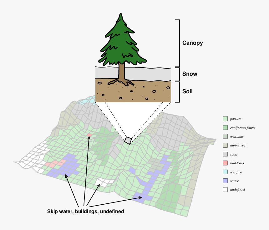 Christmas Tree, HD Png Download