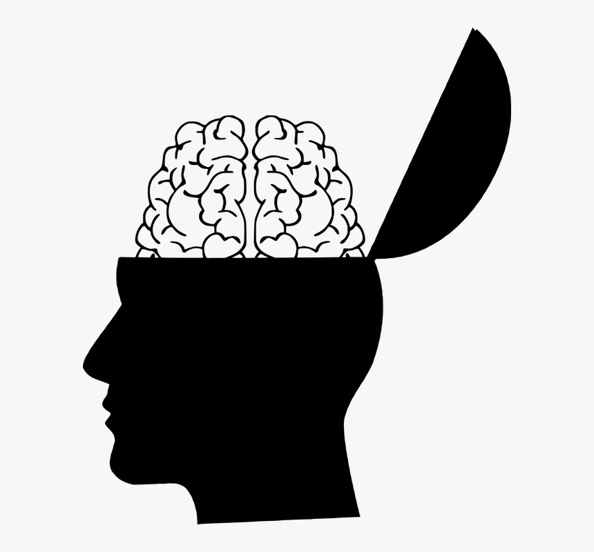 Cerebro, La Cabeza, Silueta, Creatividad, Creo Que - Head Silhouette With Brain, HD Png Download