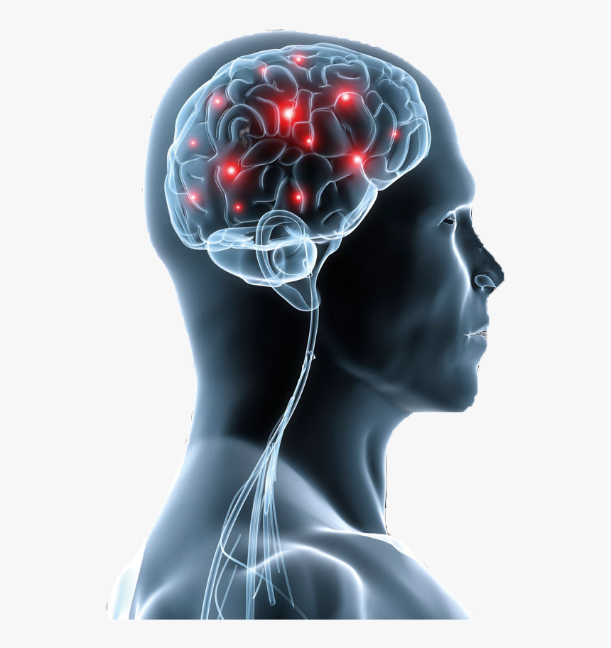 Cognitive Health, HD Png Download