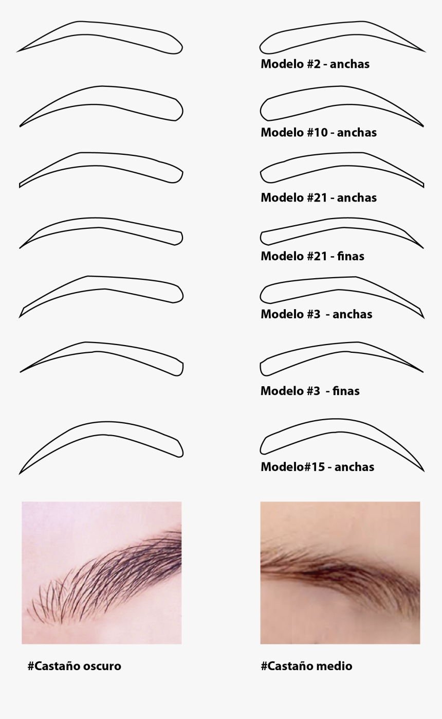 Productos Relacionados Tooltip - Eye Shadow, HD Png Download