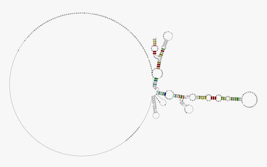 File - Scarna7 - Ps - Circle, HD Png Download