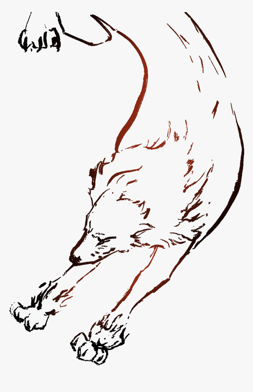 Wolf - Illustration, HD Png Download