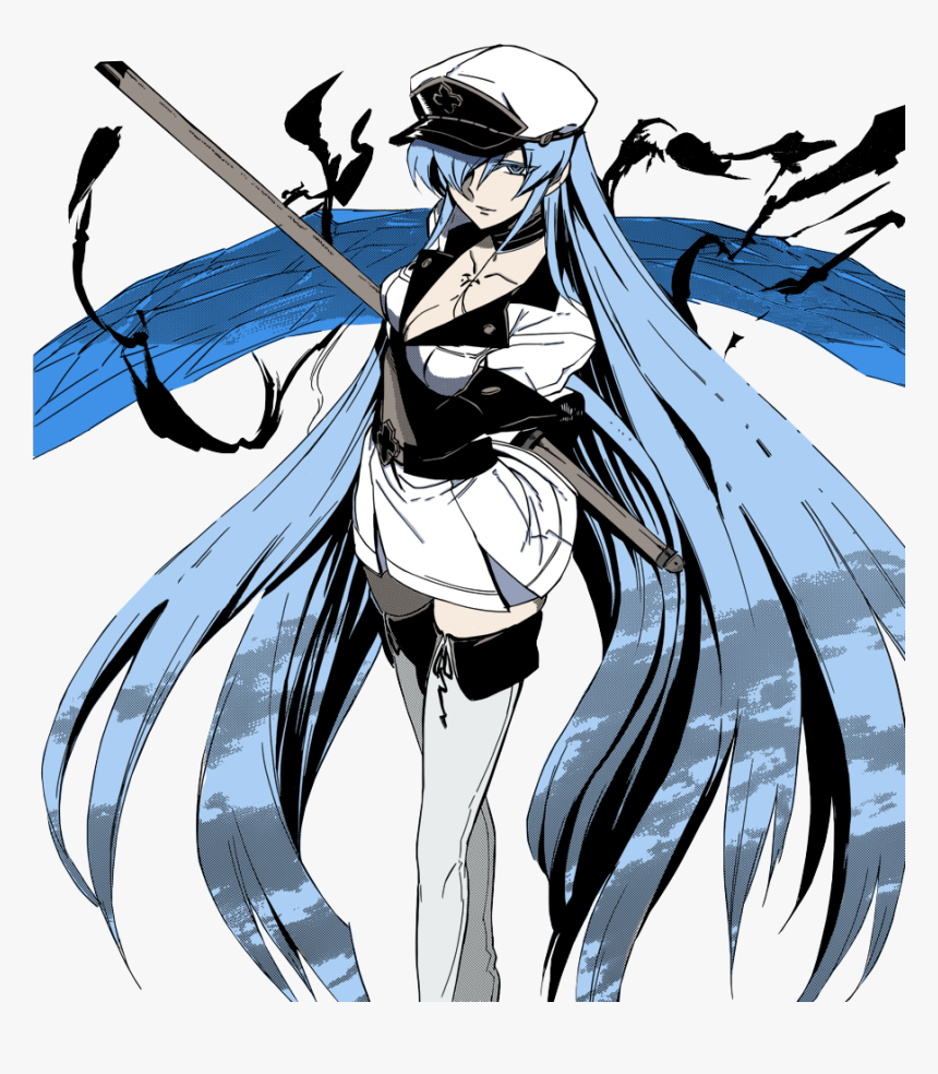 Akame Ga Kill Posted, Swell With Sadism - Akame Ga Kill Sadist, HD Png Download