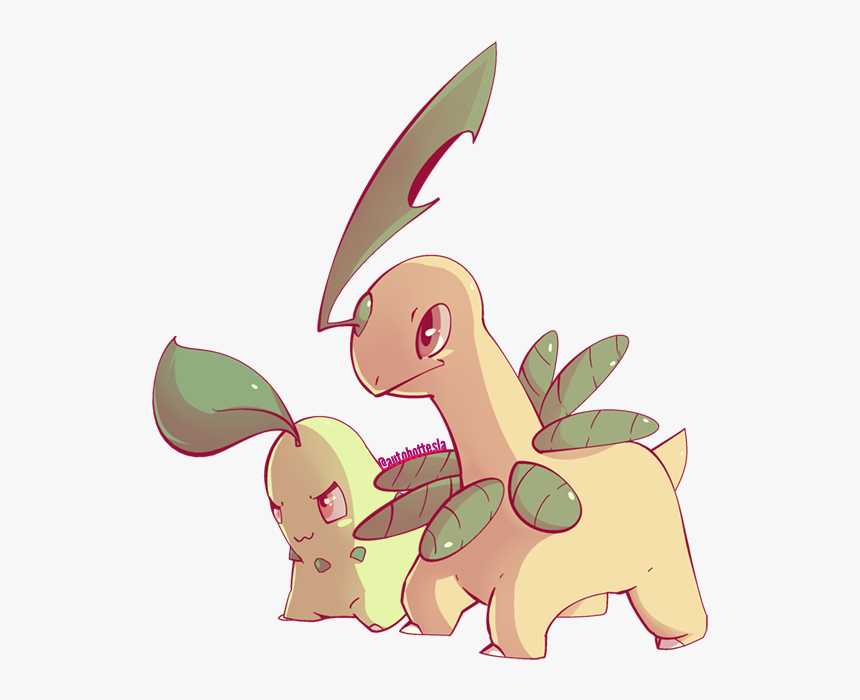 Chikorita Bayleef Meganium, HD Png Download