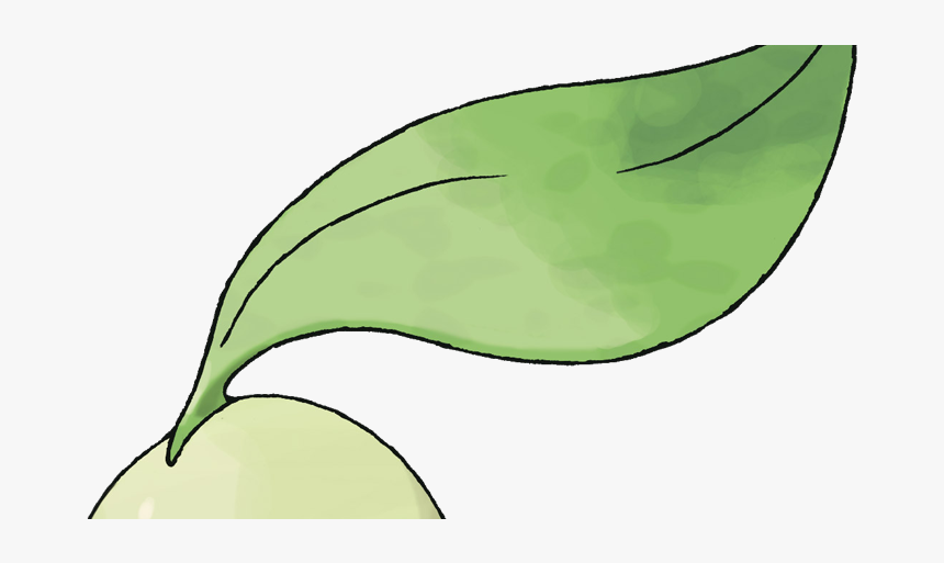 Pokemon Chikorita, HD Png Download