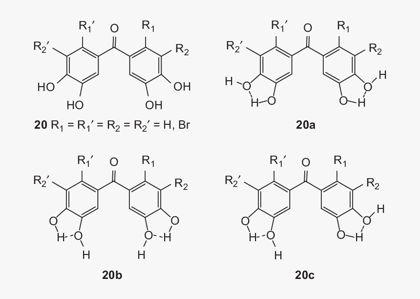 Reactive Green 19, HD Png Download