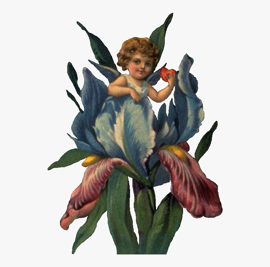 Cherub In Iris Ldm - Eu Sou Assim, HD Png Download