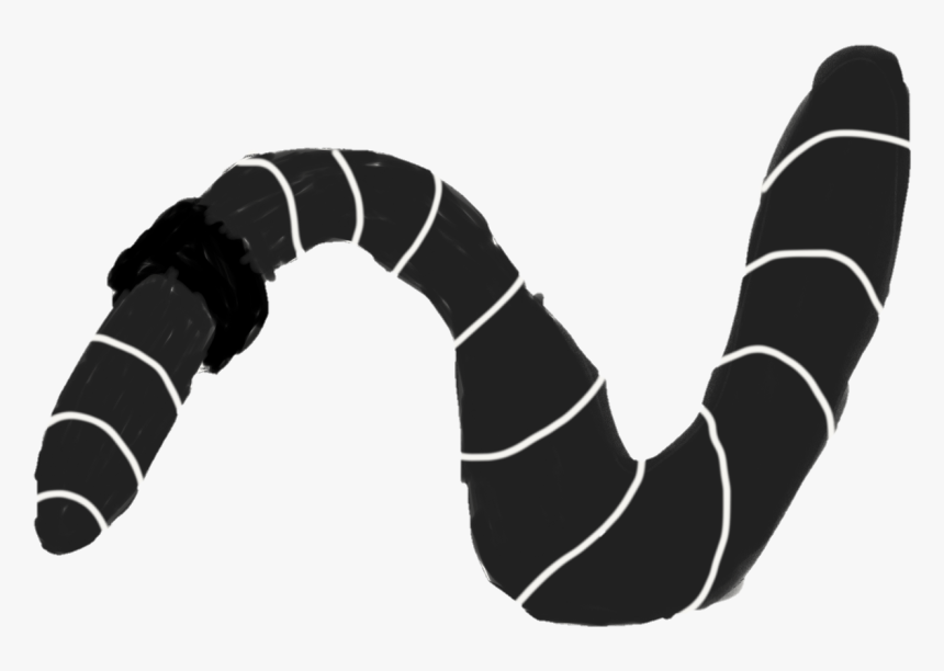 Black Earthworm Illustration - Insect, HD Png Download