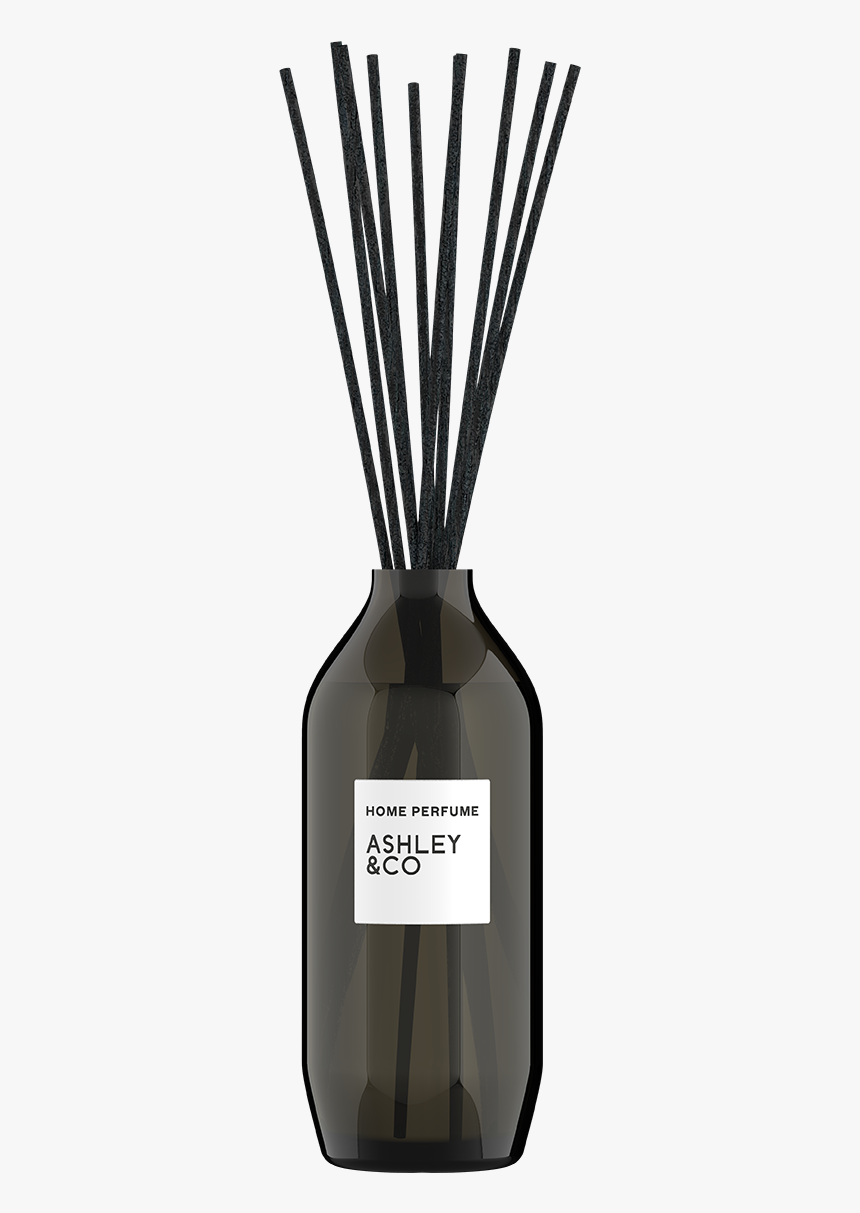 Ashley And Co, HD Png Download