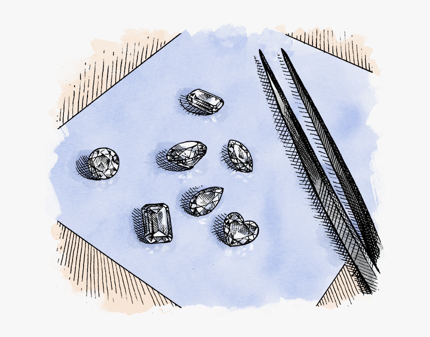 Sketch, HD Png Download