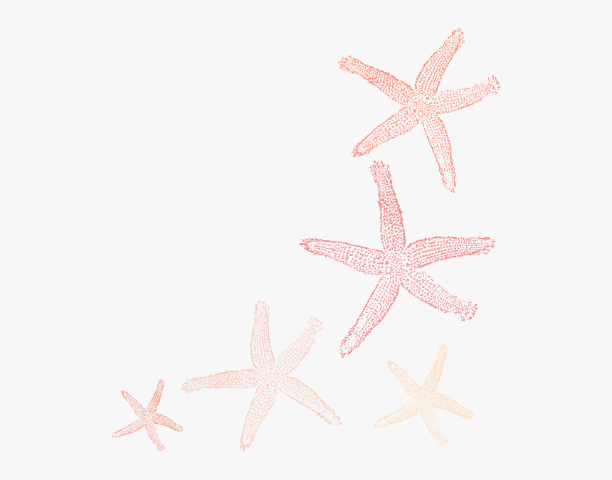 Fish Clip Art, HD Png Download