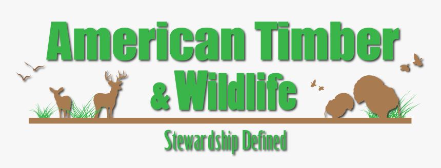 Human Action, HD Png Download