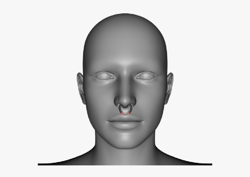 Genesis Septum Ring - Human, HD Png Download