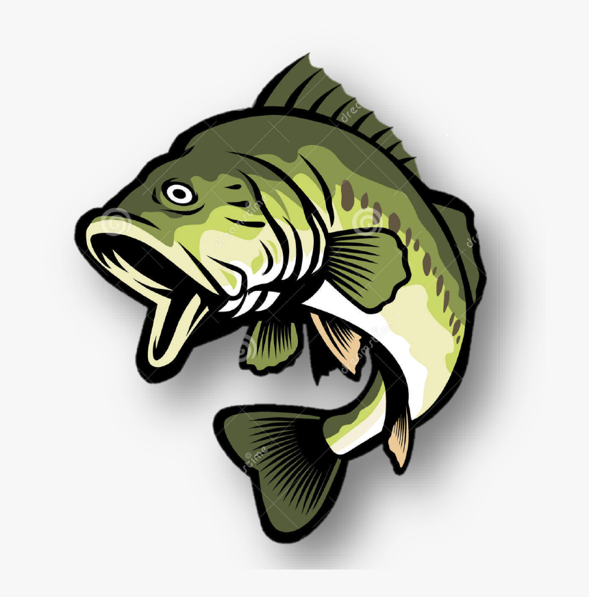 Bass Fish Clipart Png, Transparent Png