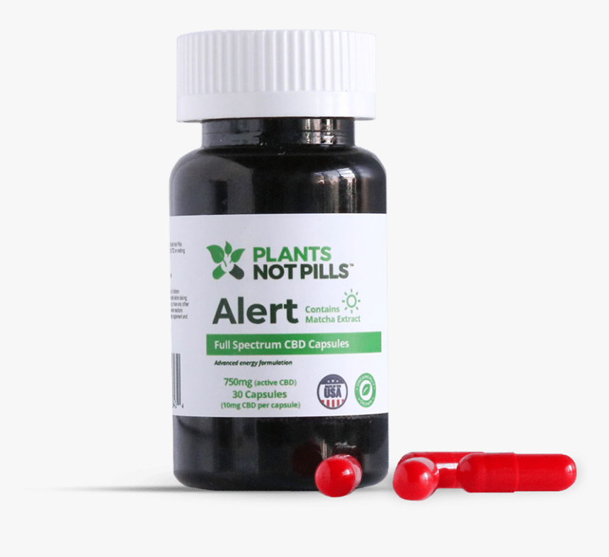 Cranberry, HD Png Download