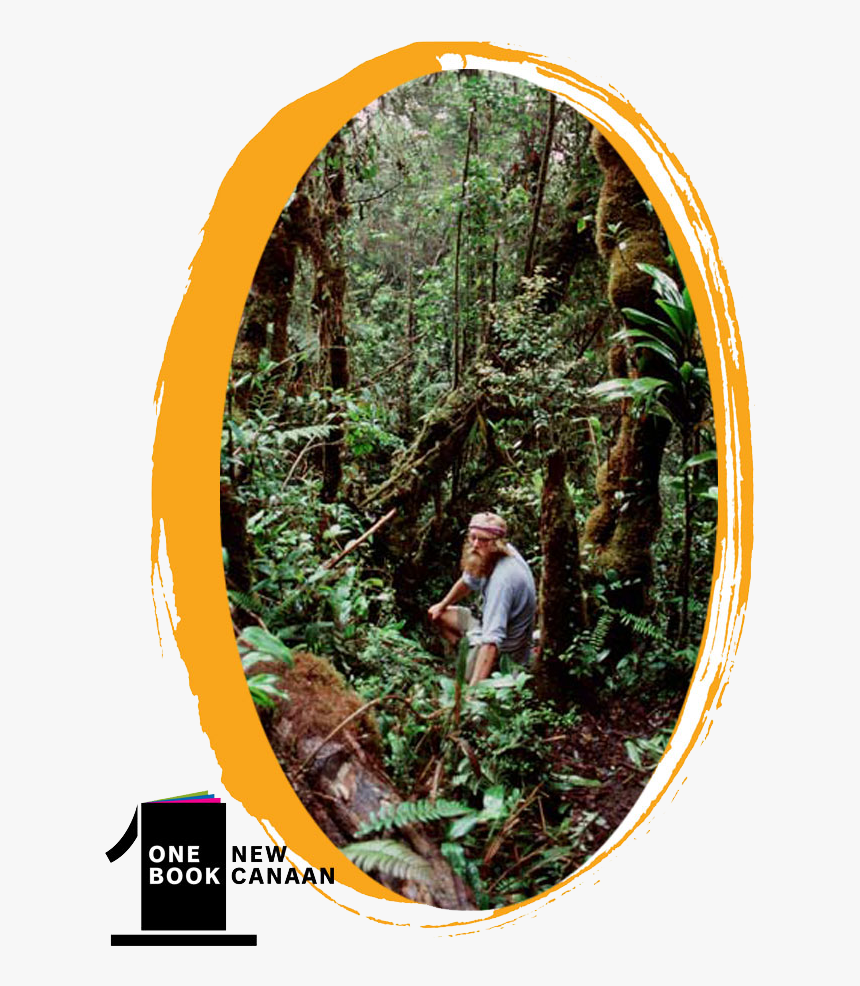 American Larch, HD Png Download