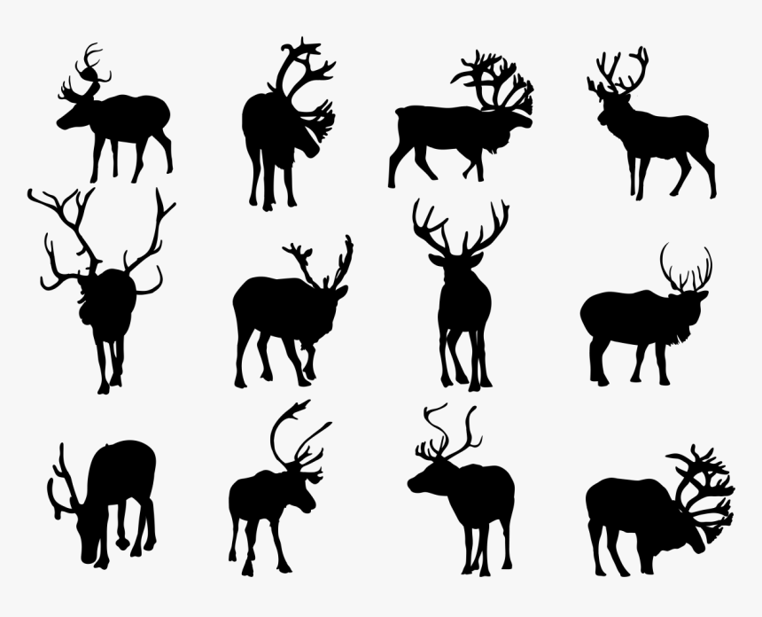 Reindeer Silhouette Clip Art - Silhouettes Of Animals Tropical Rainforest, HD Png Download