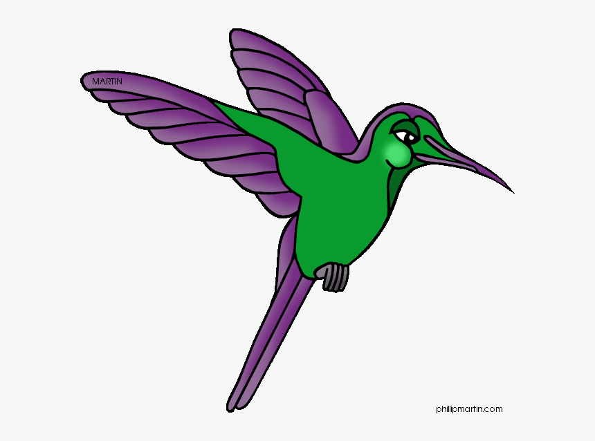 Tree Frog Clipart Rainforest Bird - Clipart Rainforest Animals, HD Png Download