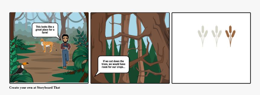 Forest Primary Succession In A Tropical Rainforest, HD Png Download