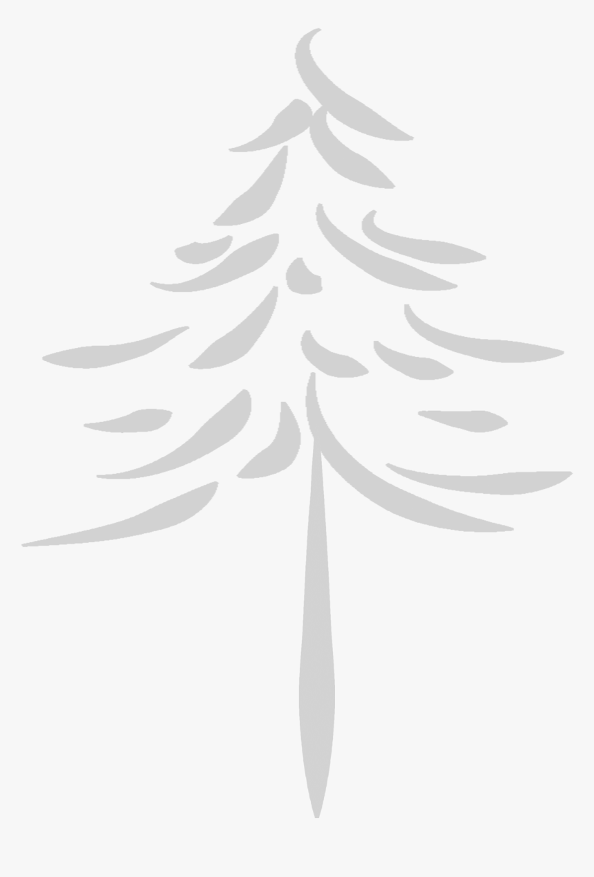 Spruce, HD Png Download